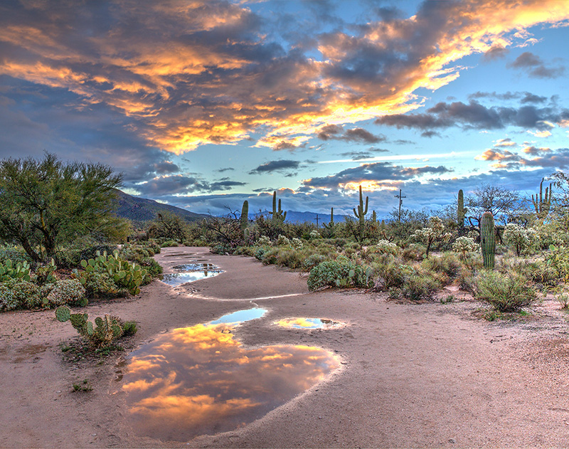 IRS tax relief attorney serving Nogales Arizona 85621 during remote phone consultation