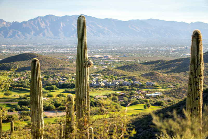 Southwest Tax Law attorney serving Tucson AZ 85705 and surrounding communities