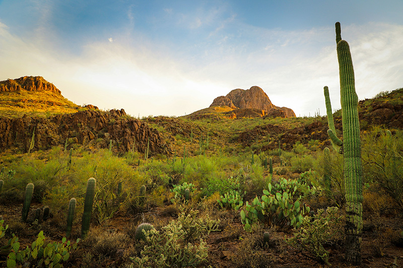 IRS tax relief attorney serving Sahuarita Arizona 85629 during remote phone consultation
