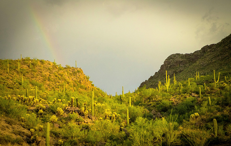 IRS tax relief attorney serving Sierra Vista Arizona 85635 during remote phone consultation
